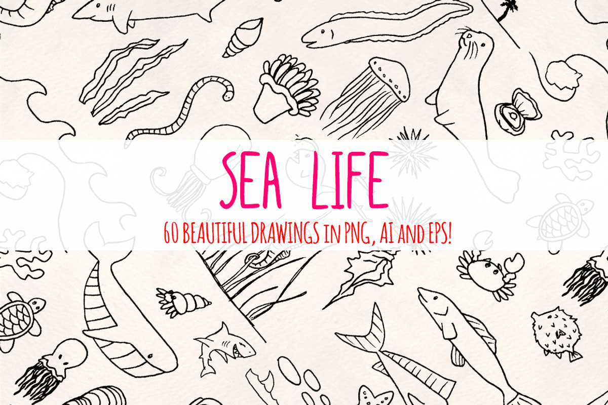 Sea Animals - 60 Ocean Vector Bundle, a Decorative Illustration by Violet LeBeaux (Photo 2 of 3)