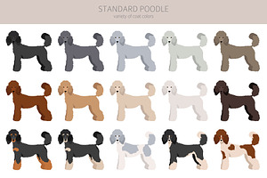 Standard Poodle Clipart