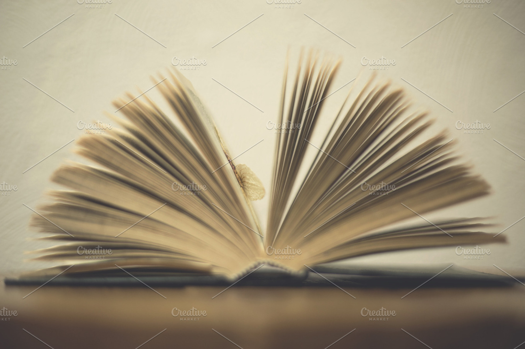 Delicate Book