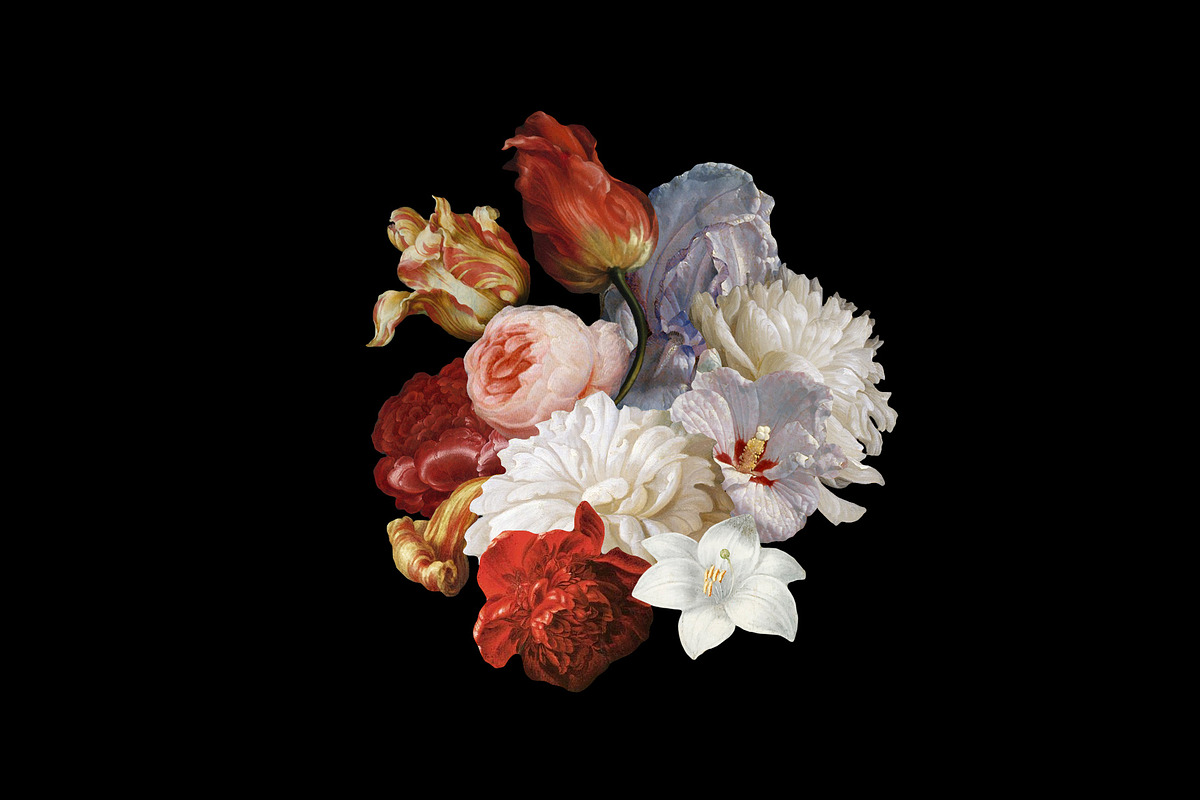 Kurohana Painted Florals Collection, an Illustration by Studio Yorktown (Photo 9 of 13)