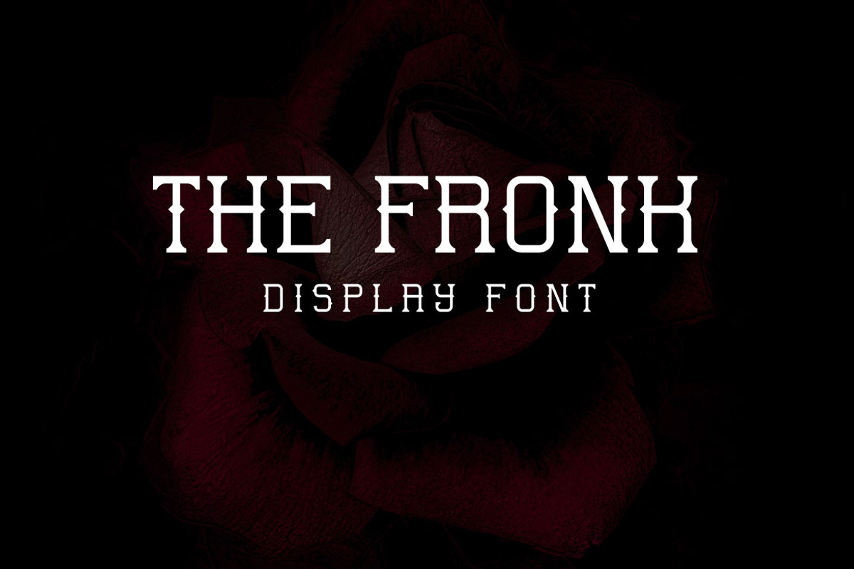 The Fronk - Decorative Display Font, a Sans Serif Font by Mightyfire (Photo 1 of 3)
