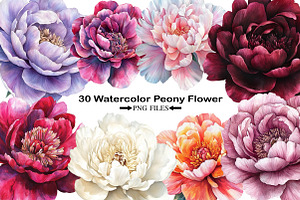Watercolor Peony Flower Clipart, an Illustration by Black Bird Studio
