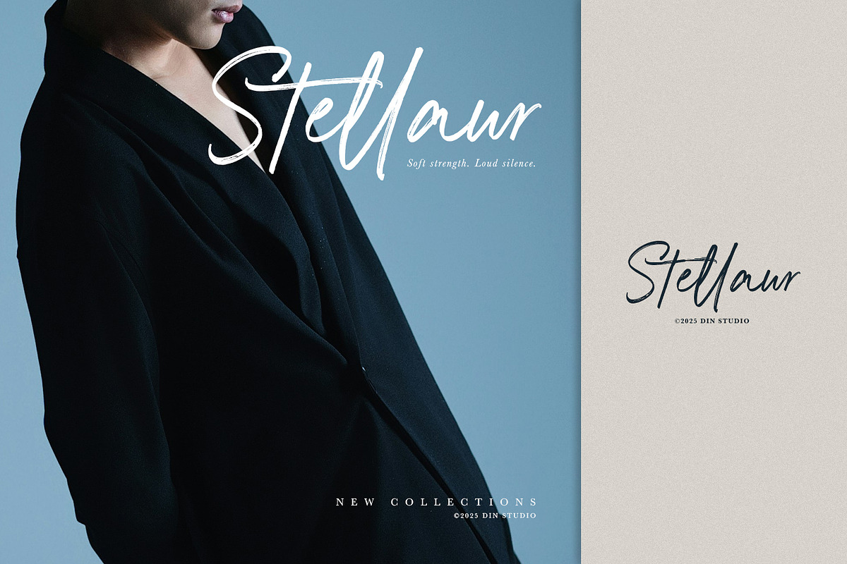 Brations Signature, a Font by din-studio.com (Photo 3 of 16)