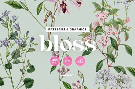Romantic Floral Pattern and Flowers