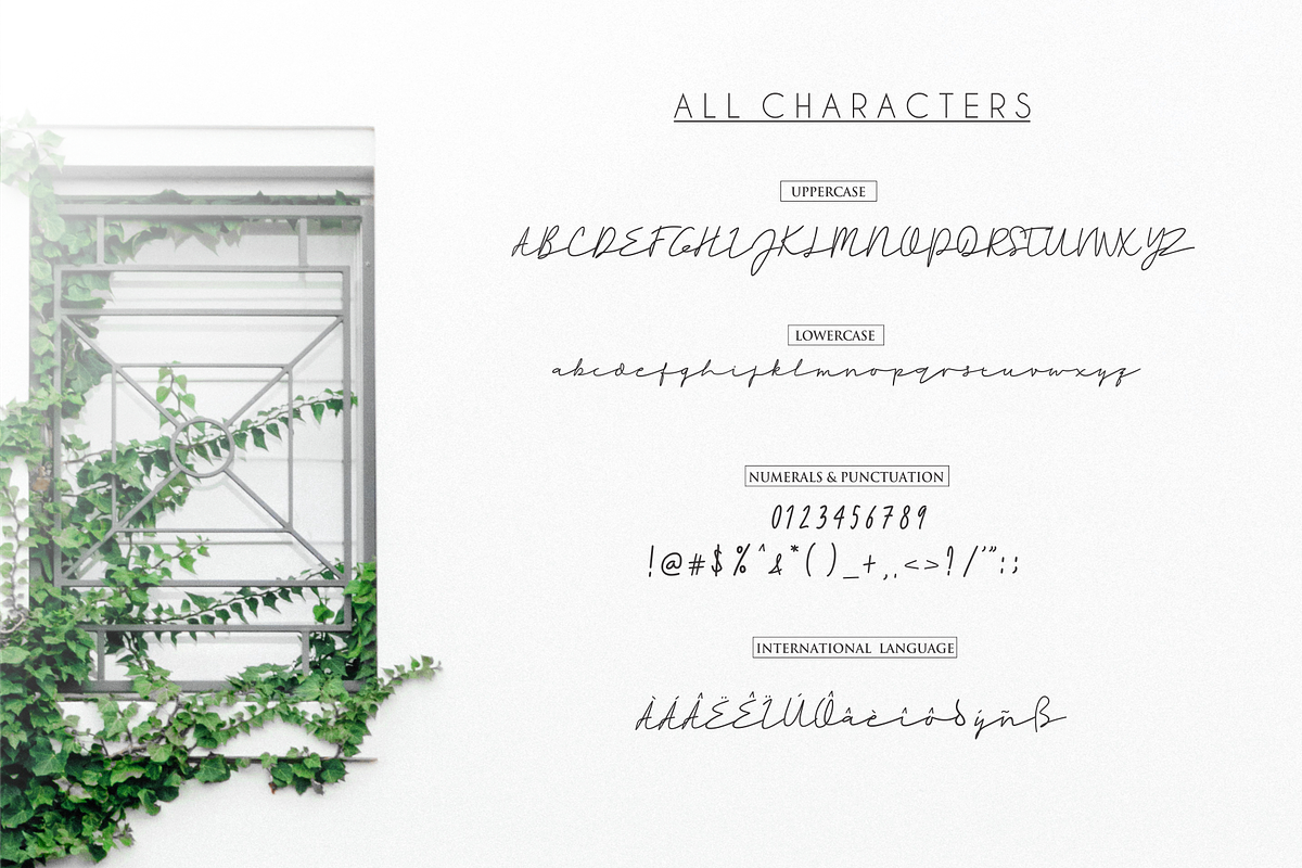 Rahayu Signature Font, a Script Font by Sronstudio (Photo 9 of 10)