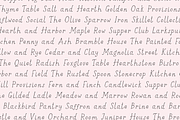 Goldenroot Serif A Rustic Font, a Handwritten Font by Beck McCormick (Thumbnail 9 of 10)