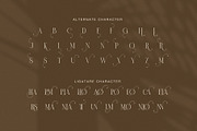 Brown Elegant Serif Display Font, a Serif Font by Graphicxell (Thumbnail 8 of 8)