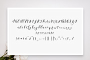 San Francisco Font, a Script Font by The Besotted Co (Thumbnail 4 of 14)