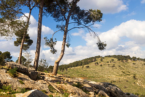 Mount Gilboa. A picturesque rocky, a Nature Photo by Imaginarium