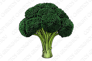 Broccoli Vegetable Vintage Woodcut