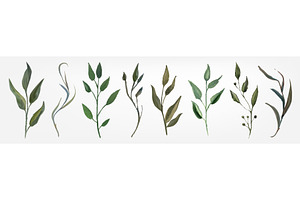 Watercolor green leaf plants set, an Object Illustration by art PVP - market