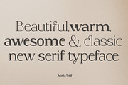 Acosta - Serif Font Family, a Serif Font by Zane Studio (Thumbnail 2 of 11)