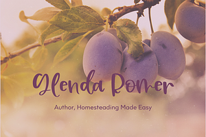 Plum Cobbler Handwritten Font