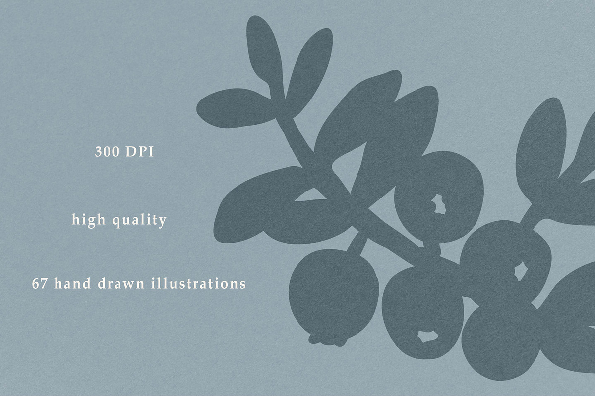 Winter Botanicals Clipart, a Seasonal Illustration by RaDavCrafts (Photo 10 of 12)