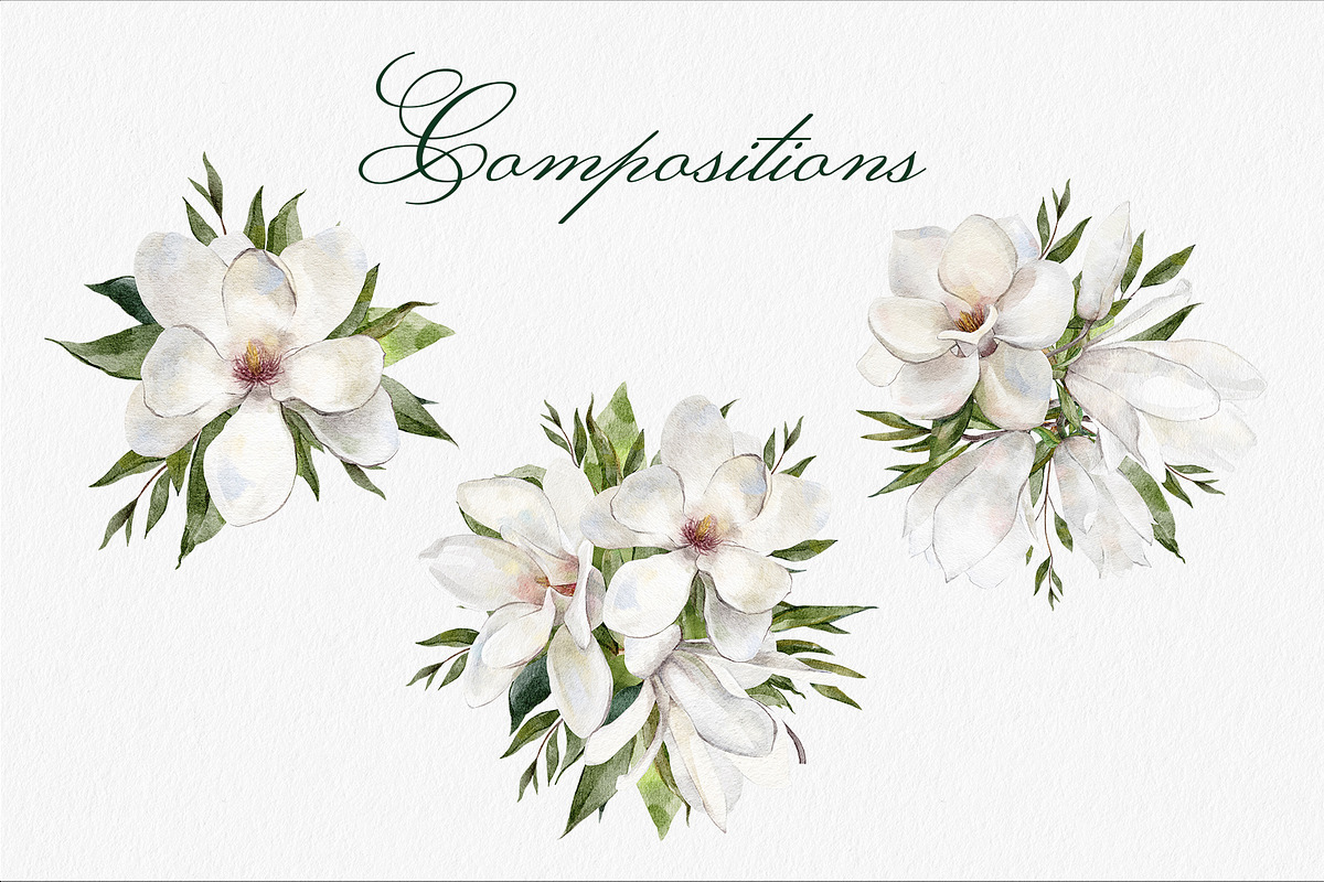 Watercolor white Magnolia flowers, a Decorative Illustration by mArtstore (Photo 5 of 8)
