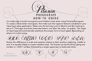 Petunia Monogram, a Script Font by STUDIOWAYS (Thumbnail 6 of 6)