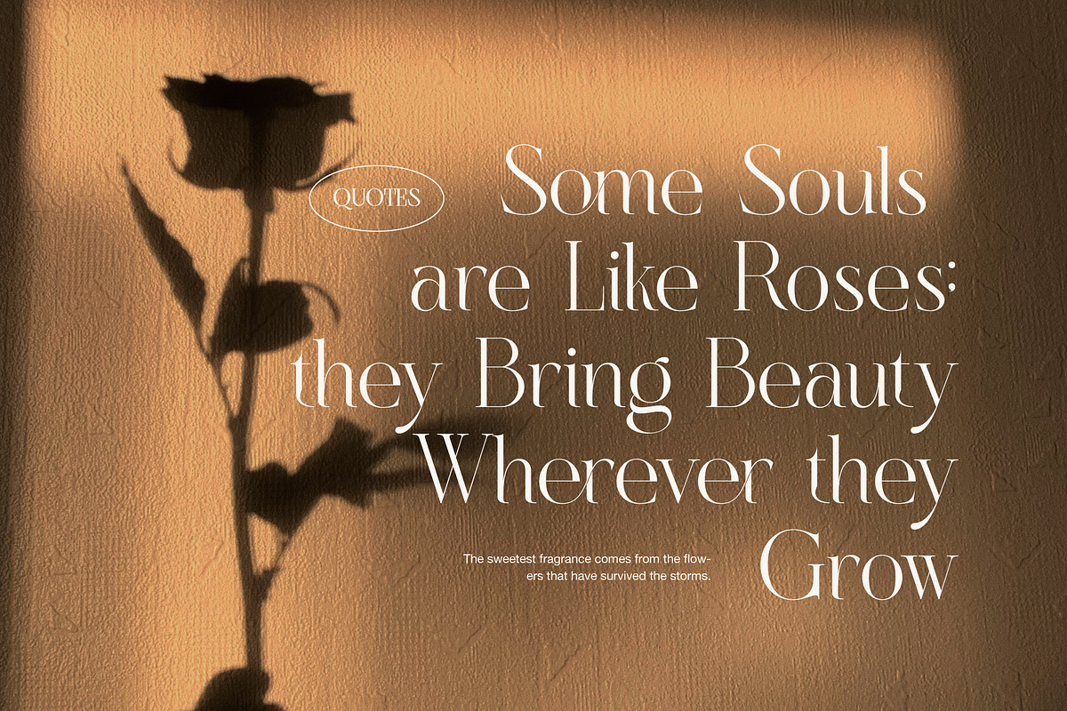 Celion Elegant Ligature Serif Font, a Serif Font by Graphicxell (Photo 4 of 8)