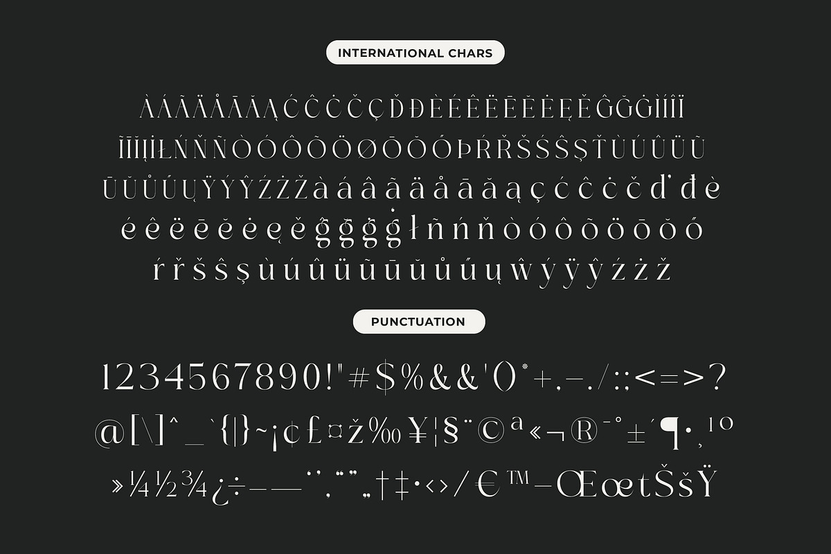 Sainer Bagora Modern Serif, a Serif Font by timelesstype.co (Photo 18 of 20)