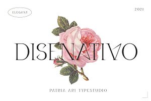 Disenativo - Sharp Display Fonts