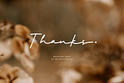 Mockine – Monoline Script Font, a Script Font by Prioritype Co (Thumbnail 10 of 10)