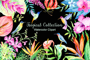 Watercolor Tropical Collection, an Illustration by Corner Croft