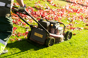 Lawn mower gardener featuring grass, lawn, and mowing