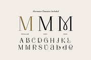 Amory Moist - Aesthetic Modern Font, a Serif Font by Fype Co. (Thumbnail 4 of 5)