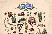 Strange Underwater, an Animal Illustration by Ink Stories (Thumbnail 4 of 20)