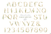 Watercolor set of Forest Greenery, an Illustration by Elena Medvedeva (Thumbnail 9 of 15)