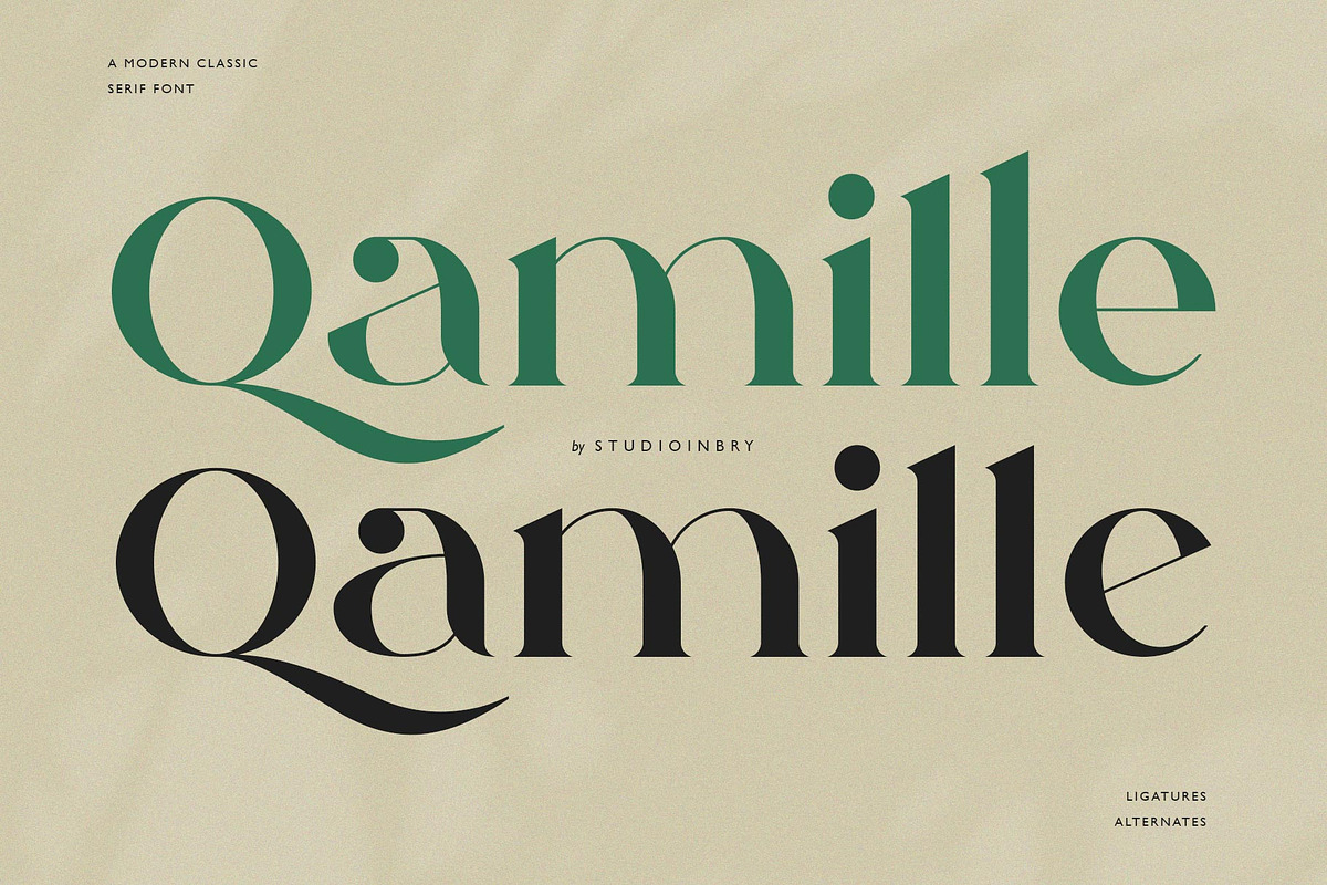 Qamille - Modern Classic Serif Font, a Serif Font by StudioinBry (Photo 1 of 13)