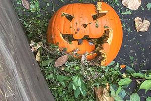 Broken halloween pumpkin, an Arts & Entertainment Photo by KYNA STUDIO