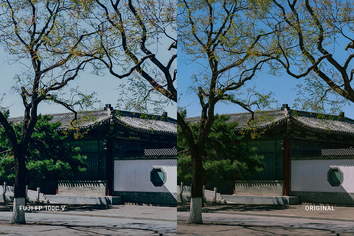Fuji FP 100C V, a Preset Add-On by colorituals (Photo 9 of 9)