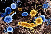 52 Fictional Microscopic Organisms, an Abstract Photo by h.utomo (Thumbnail 29 of 52)