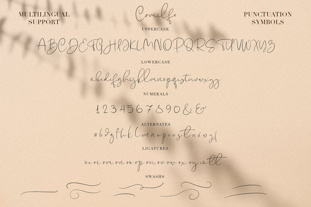 Comilfo, a Script Font by Larin Type Co. (Photo 10 of 10)