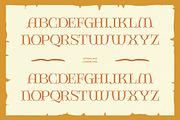 Giqer Western Vintage Serif, a Serif Font by timelesstype.co (Thumbnail 8 of 20)