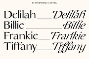 Champagne Cartel, a Serif Font by Tropical Type (Thumbnail 5 of 18)