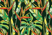 Welcome to the Jungle!, a Background Graphic by Purple Platypus (Thumbnail 7 of 7)
