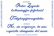 Ganglion Font, a Script Font by Arendxstudio (Thumbnail 6 of 8)