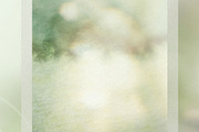 110 Ethereal Green Backgrounds, an Abstract Photo by Allure Art (Thumbnail 5 of 32)