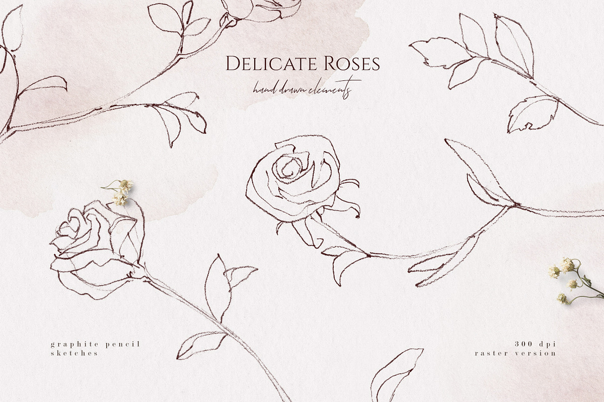 Delicate Roses - Hand Drawn Clipart, a Texture Illustration by Aquarellina (Photo 3 of 15)