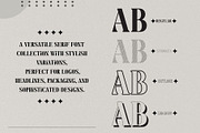 Fox Brielle Font, a Serif Font by Fox7 By Rattana (Thumbnail 2 of 13)