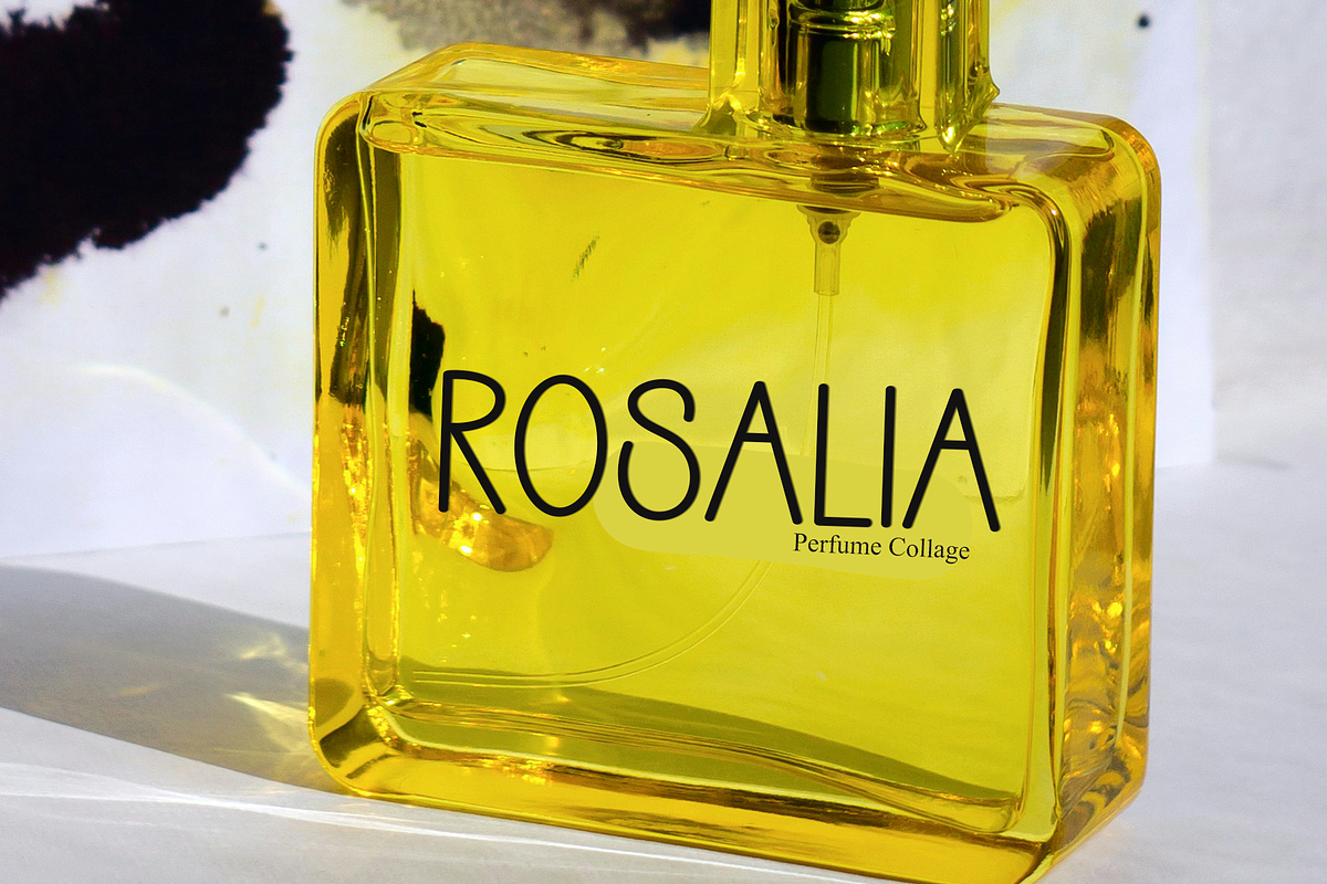Vilance, a Sans Serif Font by InermediaSTUDIO (Photo 4 of 8)