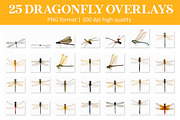 Dragonfly Overlays, an Object Graphic by VligCreativeStudio (Thumbnail 4 of 4)