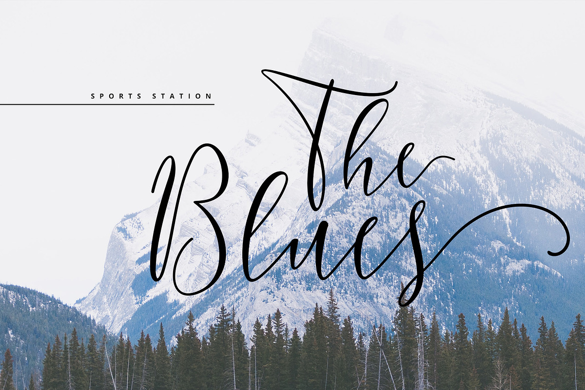 Berlinsa Script Font - Update! preview 6