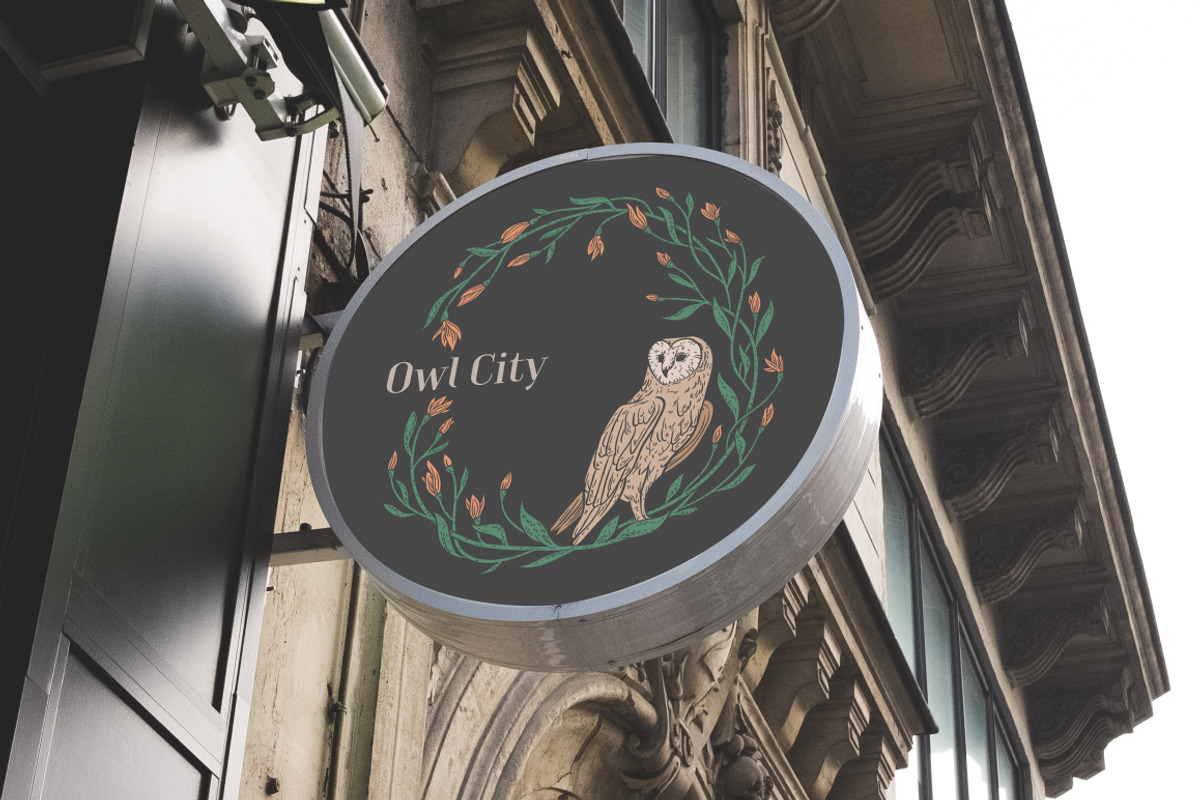 Owls graphic collection, a Decorative Illustration by Piñata (Photo 12 of 17)