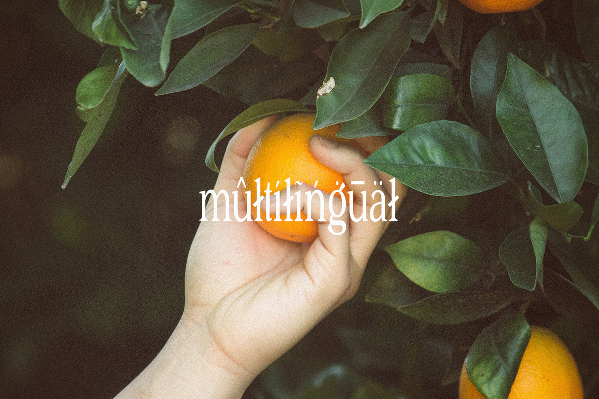 PERPLEX - Condensed Serif Typeface, a Serif Font by Schrifted Type (Photo 8 of 8)