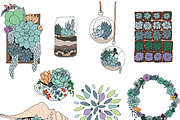 Succulent Elements & Illustrations, an Illustration by Valeri Nick (Thumbnail 2 of 5)