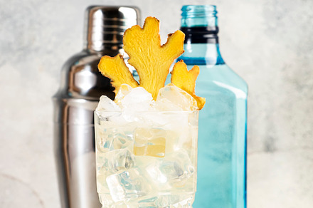 Gin mule trendy cocktail with dry gin, lemon juice, soda, lime a, a Food & Drink Photo by 5PH