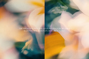 Light Flora Collection, a Background Graphic by NKate (Thumbnail 4 of 12)