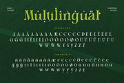 Sahron, a Serif Font by Burntilldead (Thumbnail 9 of 10)